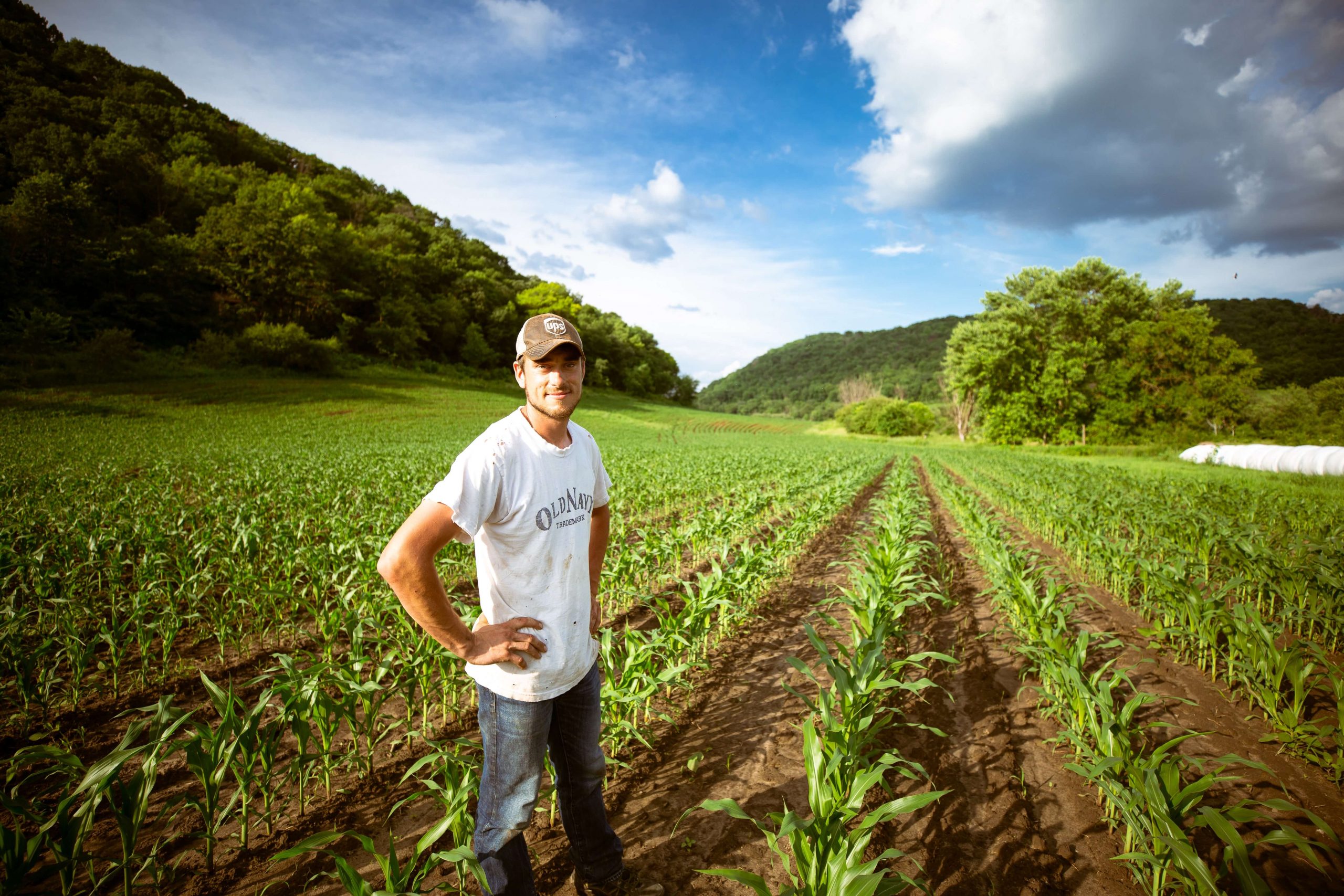 Disoccupazione agricola a chi spetta