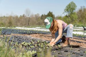 importo disoccupazione agricola