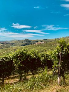 Bonus vacanze Piemonte come richiederlo