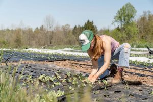 Come funziona l’esonero contributivo 2023 agricoltori